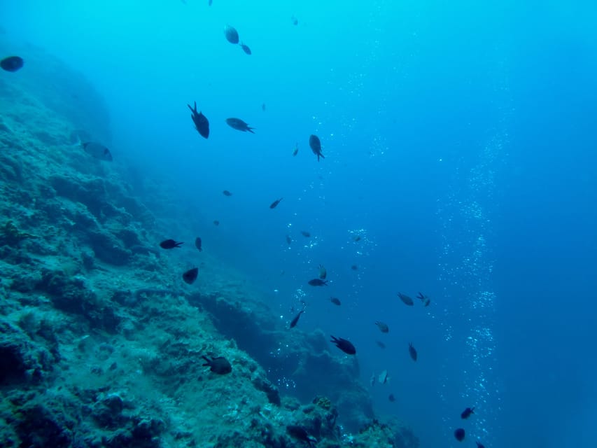 Pula: Introduction to Scuba Diving - What makes the underwater session special