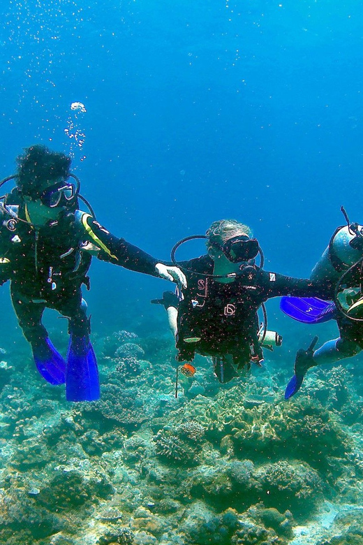 Pula: Introduction to Scuba Diving - Timing, comfort, and practical planning