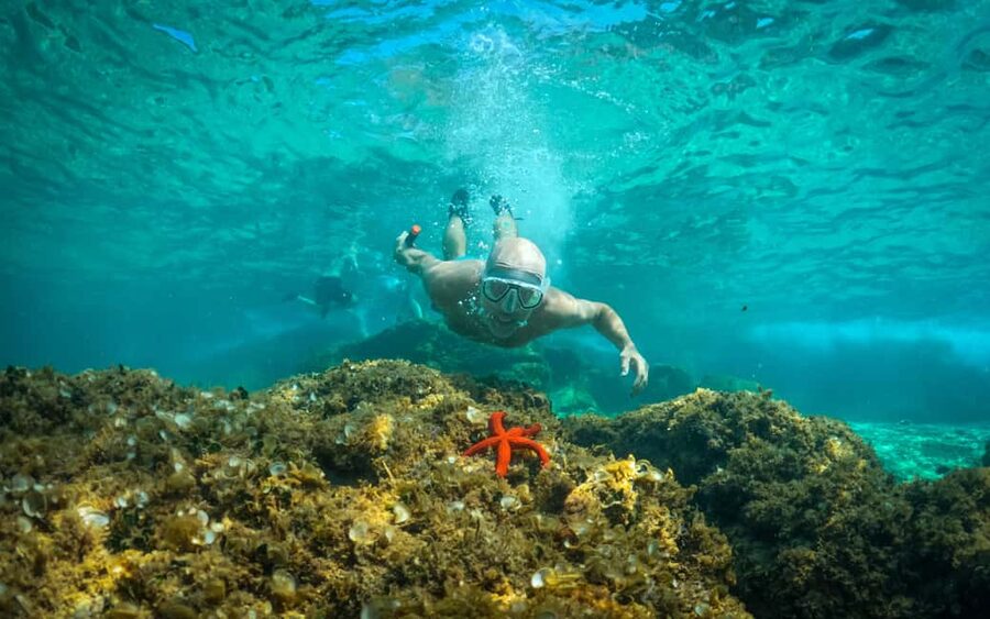 Pula: Kayaking,Snorkeling, Cliff jumping Tour with Wetsuit - What this Pula kayaking tour is really like