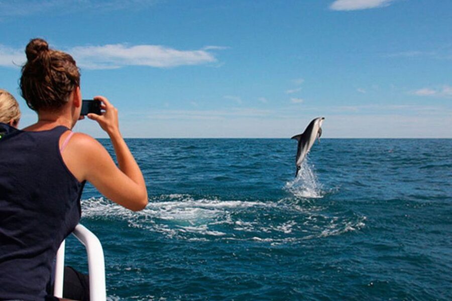 Pula: National Park Brijuni Dolphin Cruise with Dinner - A sunset dolphin cruise from Pula