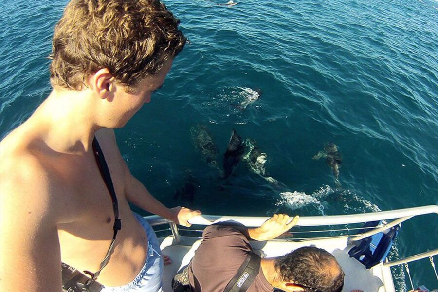 Pula: National Park Brijuni Dolphin Cruise with Dinner - What $67 includes and who gets good value