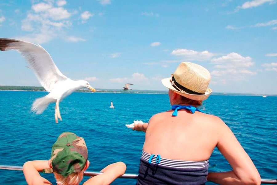 Pula: National Park Brijuni Island Visit & Dolphin Cruise - Dolphin watching depends on patience and luck