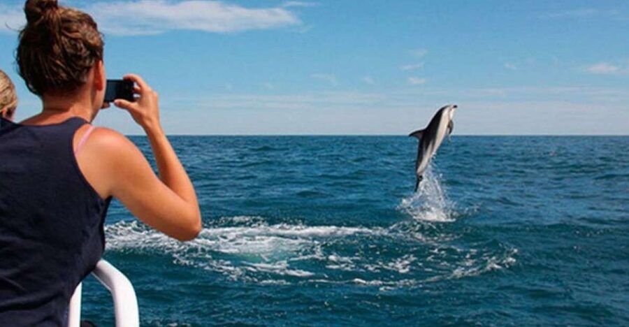 Pula: National Park Brijuni Island Visit & Dolphin Cruise - St. Jerolim Island gives you time off the boat