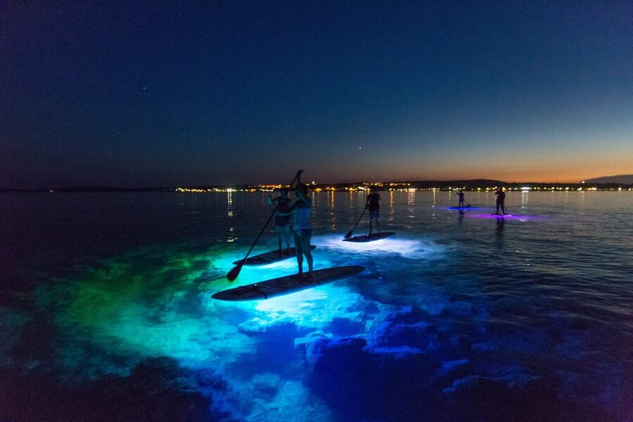 Pula: Night LED Stand-Up Paddle Board Tour - Who should book this nighttime SUP tour?