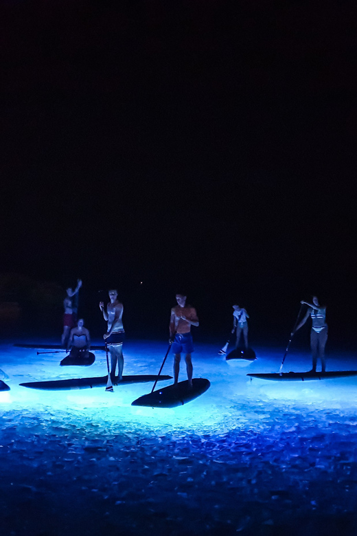Pula: Night LED Stand-Up Paddle Board Tour - Why the Pula aquatorium works so well after dark