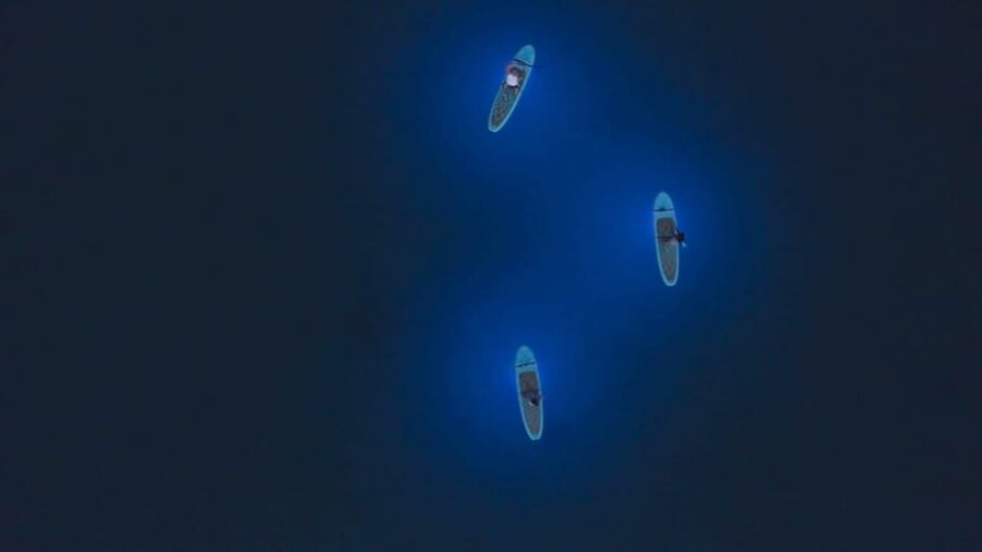 Pula: Night LED Stand-Up Paddle Board Tour - Histria Beach and the short safety briefing