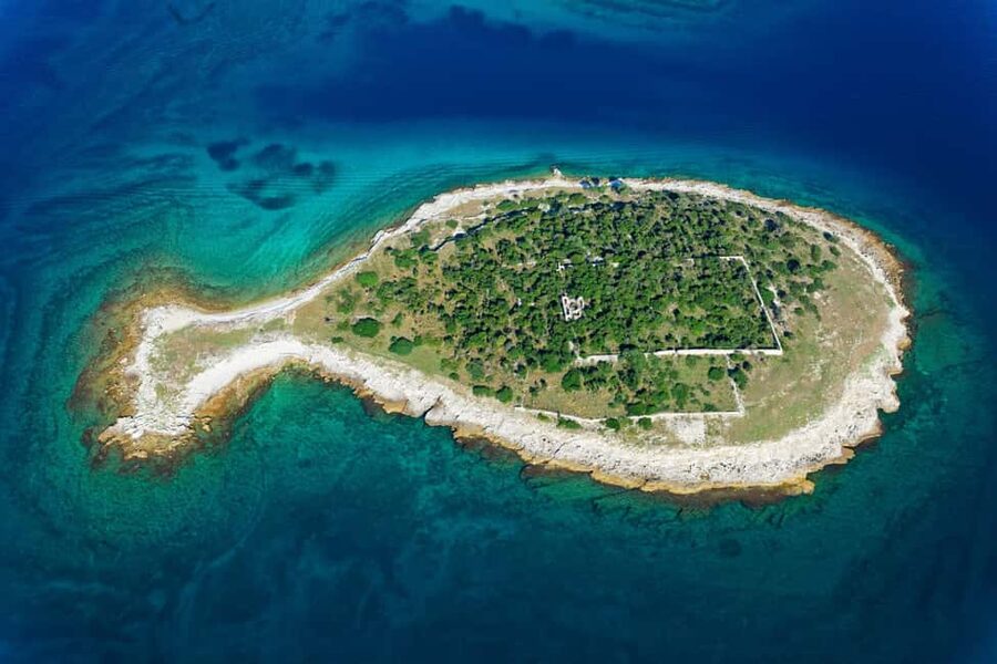 Pula: Private Dolphins & Sunset Tour With Dinner & Drinks - Wild dolphins, with nature in charge