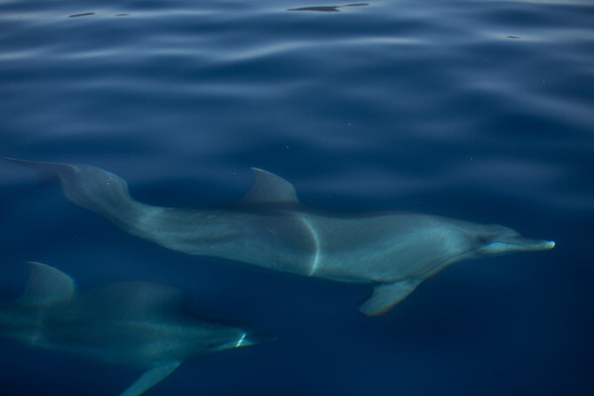 Pula: Private Golden Hour Sail - Dolphins, Drinks & Brijuni Views - Key points to know before booking