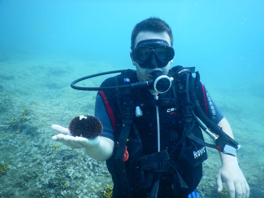 Pula: Private Introduction to Scuba Diving - Instructors who can teach in five languages