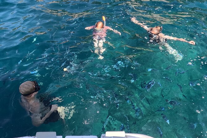 Pula Private Sailing Tour: 4-Hour Customizable Sail, Snorkel, SUP - Using the SUP and GoPro