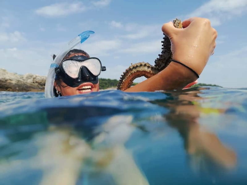 Pula: Sea Adventure – Boat, Kayak, Snorkeling & Cliff Jumps - Quick reasons to choose this Pula sea adventure