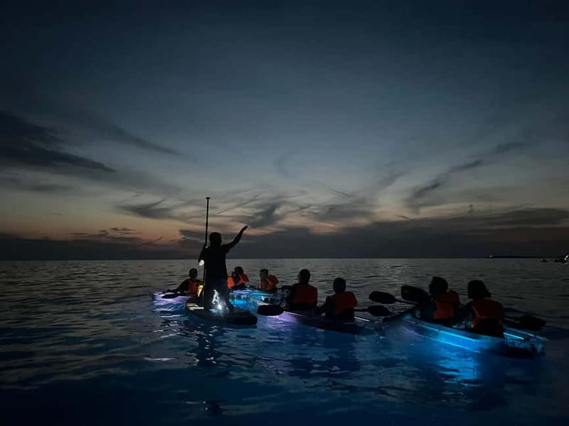 Pula: Sunset/Night Illuminated Transparent Kayak Tour - Why this Pula night kayak tour is different