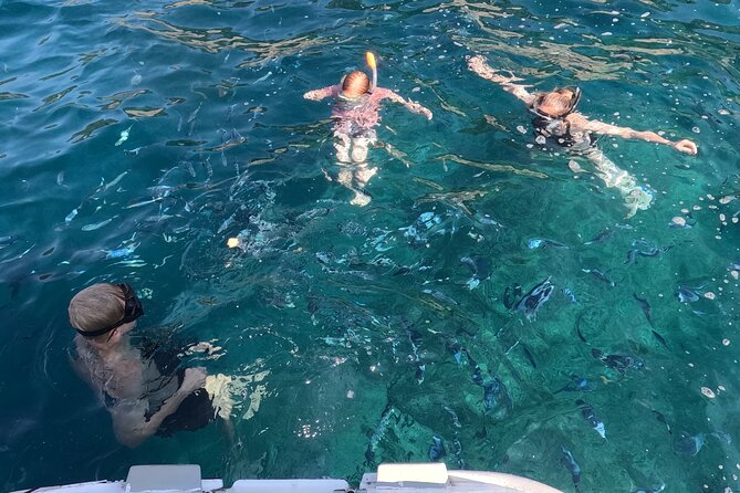 Pula: Your Custom Full-Day Private Sail - Explore Istria's Gems - Istrian tapas and drinks throughout the cruise