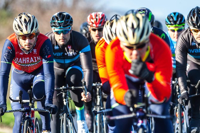 Pure Cycling Experience - Road Bike - Why a road bike is a smart way to see Hvar