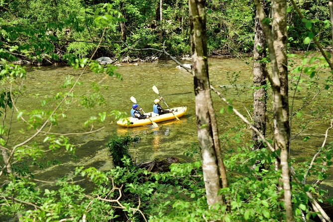 Rafting and Kayaking Adventure in River Kupa - Through the forested highlands
