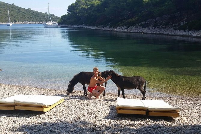 Red Rocks & Southern Side Of Hvar Private Tour - Key points at a glance