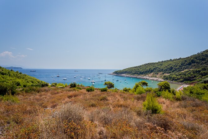 Rent a Boat! (Group Option - Half Day) - Who should book this half-day charter