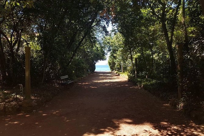Rent a speed boat and explore beaches and coves of Elaphiti Islands - What the boat ride is really like