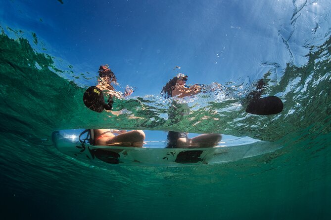 Rent a Transparent Kayak - Discover the Underwater Magic - Paddling beside Stoja’s rocky coast