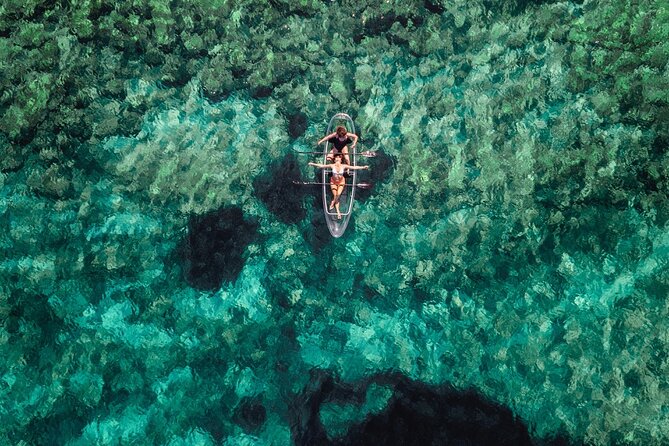 Rent a Transparent Kayak - Discover the Underwater Magic - How the private format affects the day