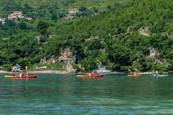 River Challenge Island Tour - Who will enjoy this outing most