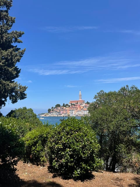 Rovinj: BUBA SUNSET KAYAK, snorkeling&driknks incuded - Paddling back as evening arrives