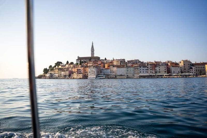 Rovinj: Dolphin Watching Sunset Speedboat Tour with Drinks - Booking advice for a smoother outing