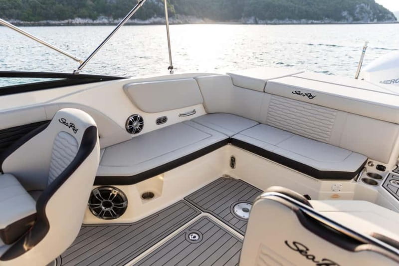 Rovinj: Dolphin Watching Sunset Speedboat Tour with Drinks - Who should book this experience
