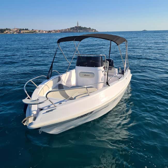 Rovinj: Shared Dolphin and Sunset Tour with Drinks - Who Will Enjoy This Evening Best