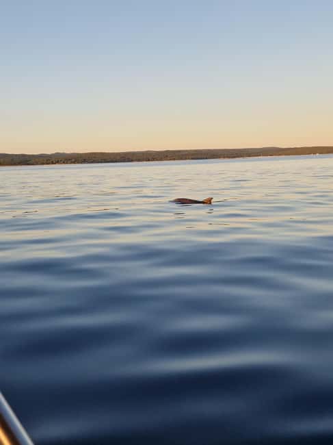 Rovinj: Shared Dolphin and Sunset Tour with Drinks - Jackets, Sea Conditions, and Practical Comfort