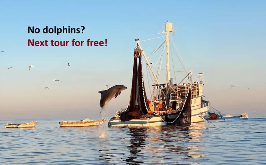Rovinj: Sunrise Dolphins & Fishermen at Work Speedboat Tour - Why This Sunrise Tour Feels Different