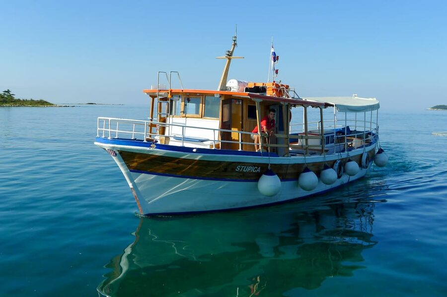 Rovinj: Sunset Cruise with Swim Stop, Drinks, and Fruits - Looking for dolphins in the Adriatic