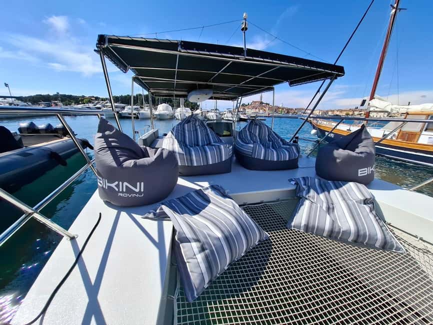 Rovinj: Sunset & dolphin group tours with Catamaran - Looking for dolphins near Rovinj