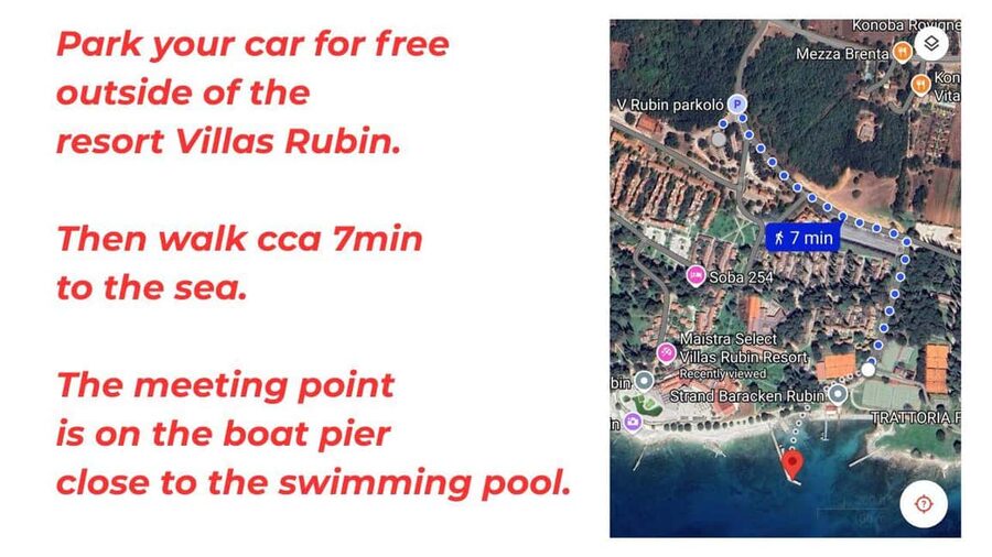 Rovinj: Sunset Speedboat Tour with Dolphin Watching - Searching for dolphins in the open Adriatic