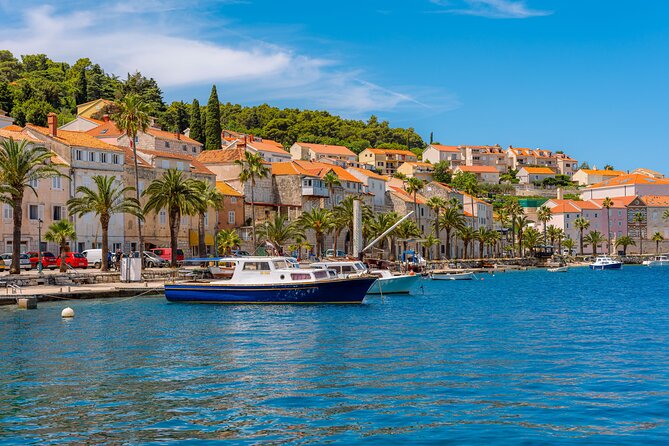 Sail Away - Korčula Archipelago Cruise, Swim and Snorkel - What the snorkeling is really like