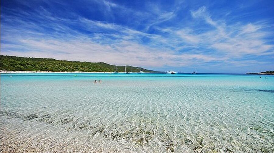 Sakarun Beach Full-Day Guided Tour from Zadar - Swimming, snorkeling, and the practical beach experience