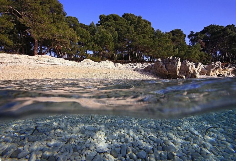 Sakarun Beach Full-Day Guided Tour from Zadar - Who will enjoy this island day most
