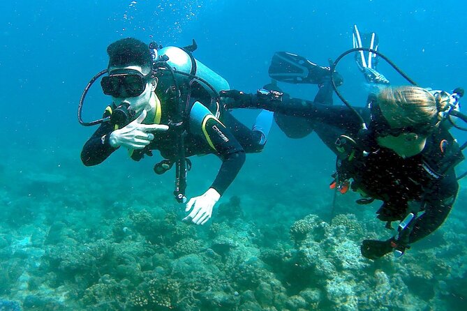 Scuba Diving for Beginners in Pula - Key points to know before you book
