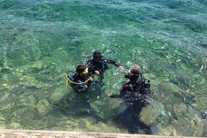 Scuba Diving for Beginners in Pula - Visiting the House Reef to a maximum of 7 meters