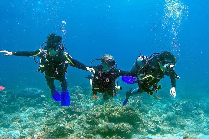 Scuba Diving for Beginners in Pula - What the small groups mean for you