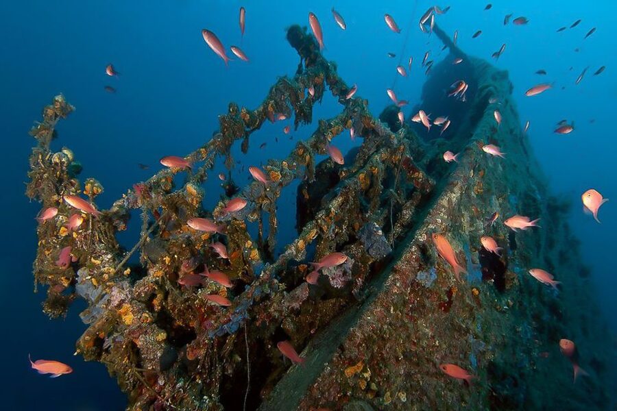 Scuba Diving in Dubrovnik: 1 Dive for Certified Divers - Cape Bezdan and the Aurora wreck