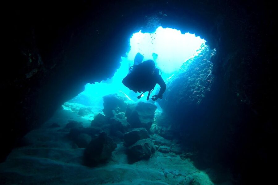 Scuba Diving in Dubrovnik: 1 Dive for Certified Divers - Tomislav near Lokrum Island