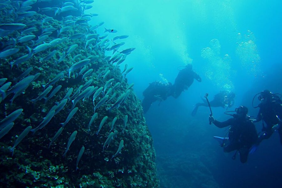Scuba Diving in Dubrovnik: 1 Dive for Certified Divers - The value of $94 per person