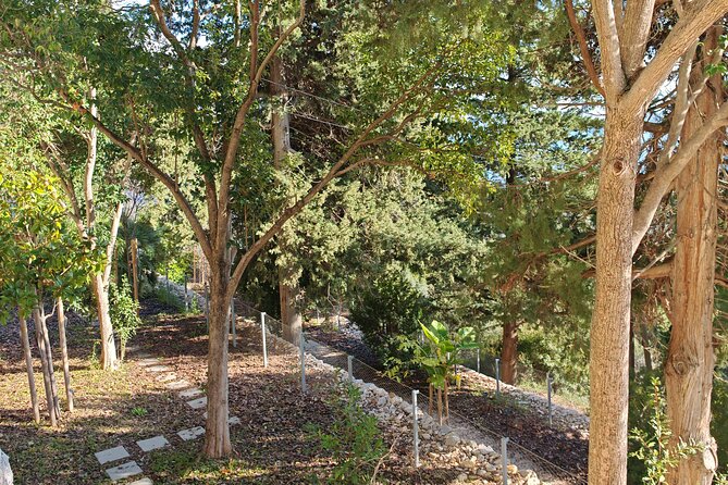 Secret Marjan Park Hiking Tour in Split - Booking advice and final verdict