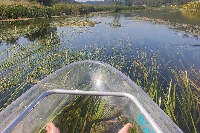 See through kayaks on Gacka river - Why the return transfer improves the trip