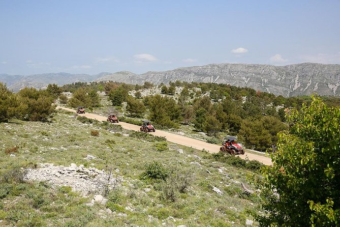 Self-drive Off Road Buggy - Who will enjoy this most