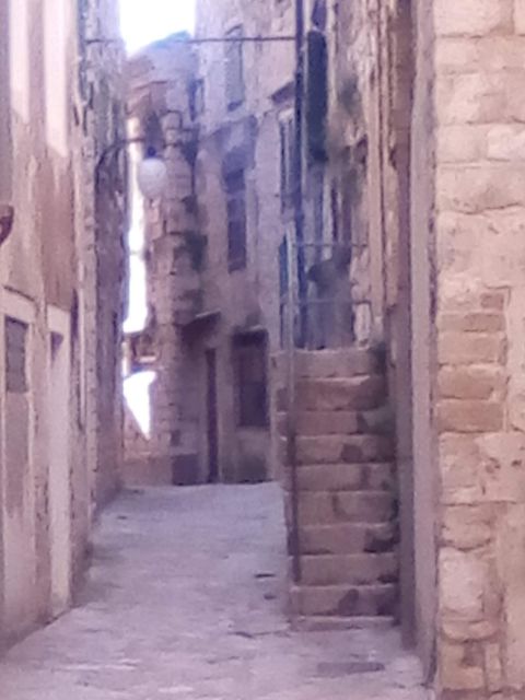 Šibenik walking tour in one hour! - Practical advice for making the hour count