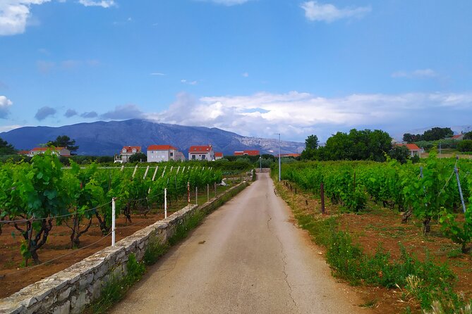 Slurp of Grk Korcula Wine Tour | Wine Tasting in Lumbarda - Two Family Wineries and a Generous Afternoon