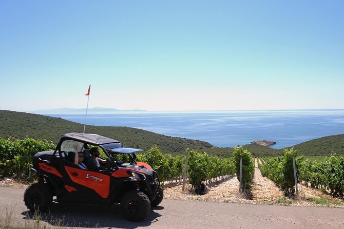 Slurp of Grk Korcula Wine Tour | Wine Tasting in Lumbarda - How the Four and a Half Hours Fit Together
