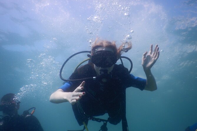 Small-Group Introductory Scuba Diving in Pula - The 30-minute coastal underwater session